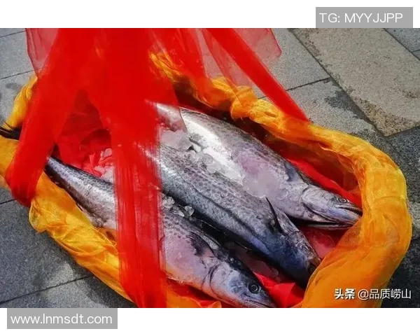 赞岐釜玉海的独特魅力与美味体验探秘之旅