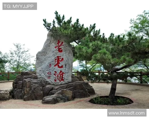 普埃大学与老虎大学的精彩对决谁能赢得胜利的荣耀与未来